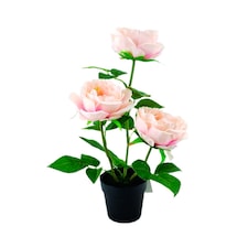 BAYSWOOD Outdoor PINK PEONY