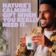 image 3 of Pukka Organic Peace Herbal Tea With Chamomile 20 Herbal Tea Bags 30g