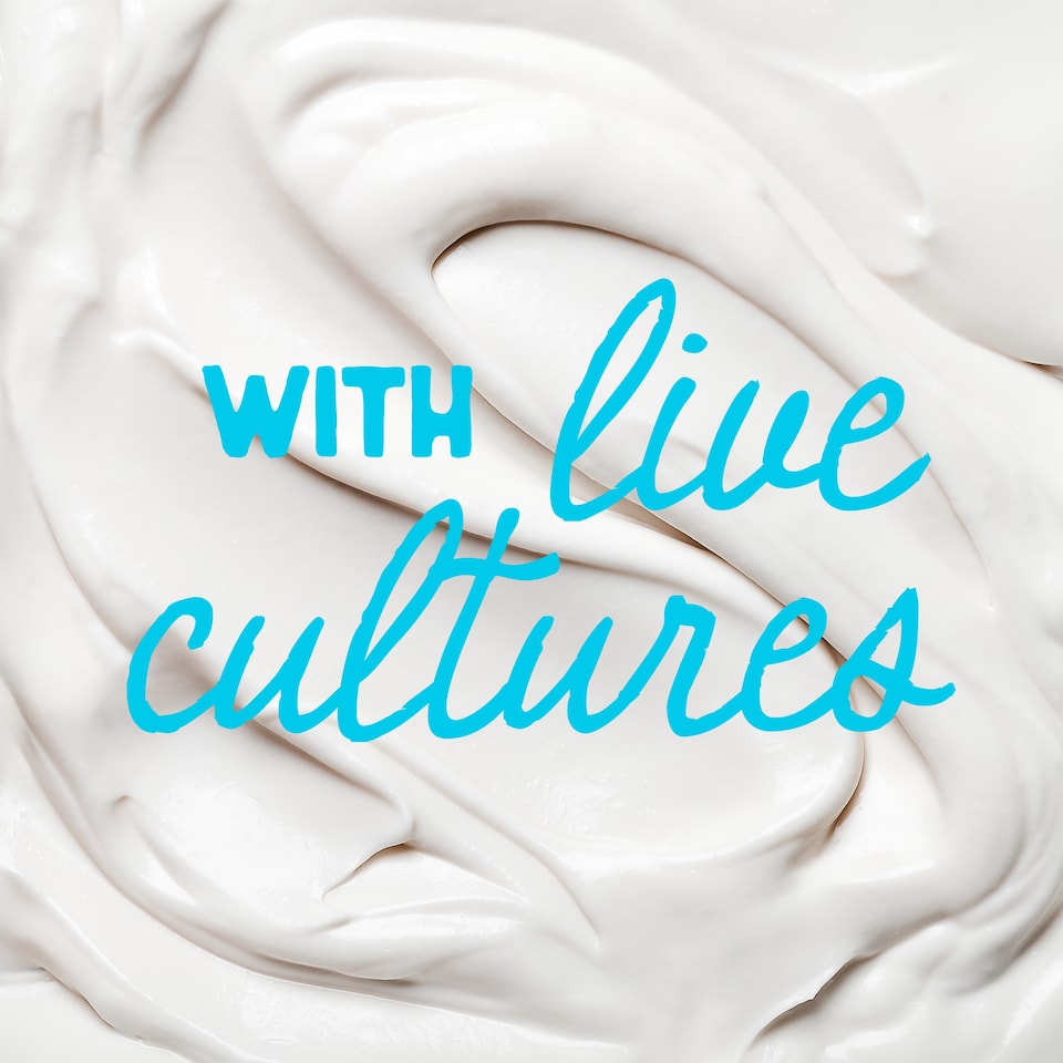 image 1 of The Coconut Collab Natural Coconut Yoghurt 4x90g