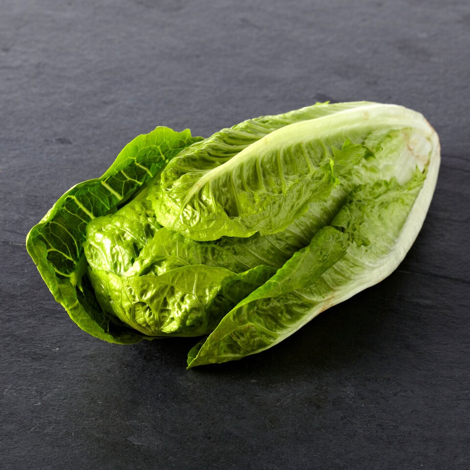image 1 of Tesco Organic Romaine Lettuce Each