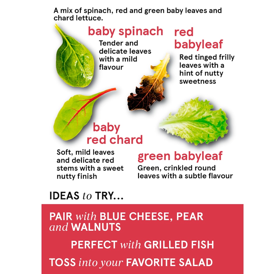 image 1 of Tesco Babyleaf Salad 90G