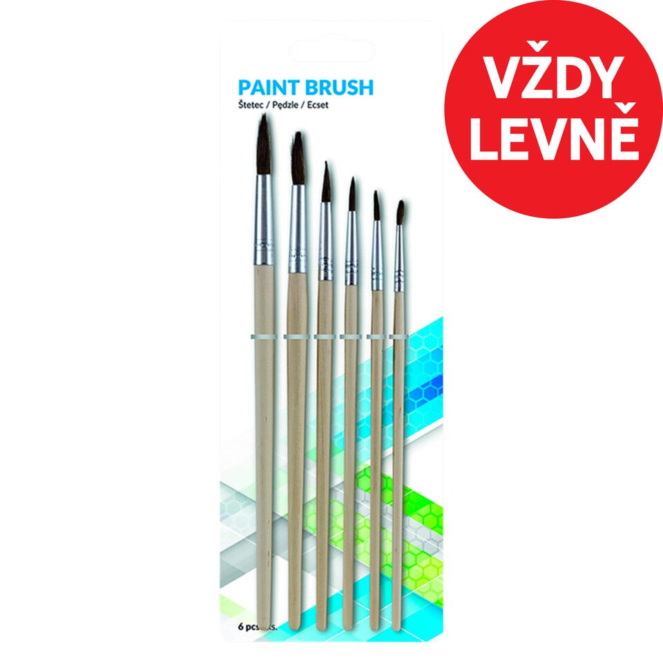 Paint Brush 6 pcs