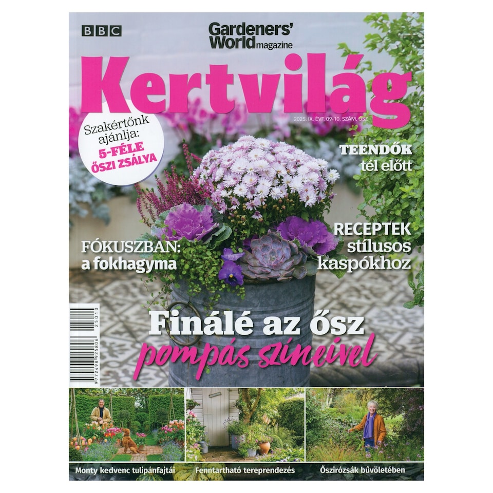 BBC Kertvilág