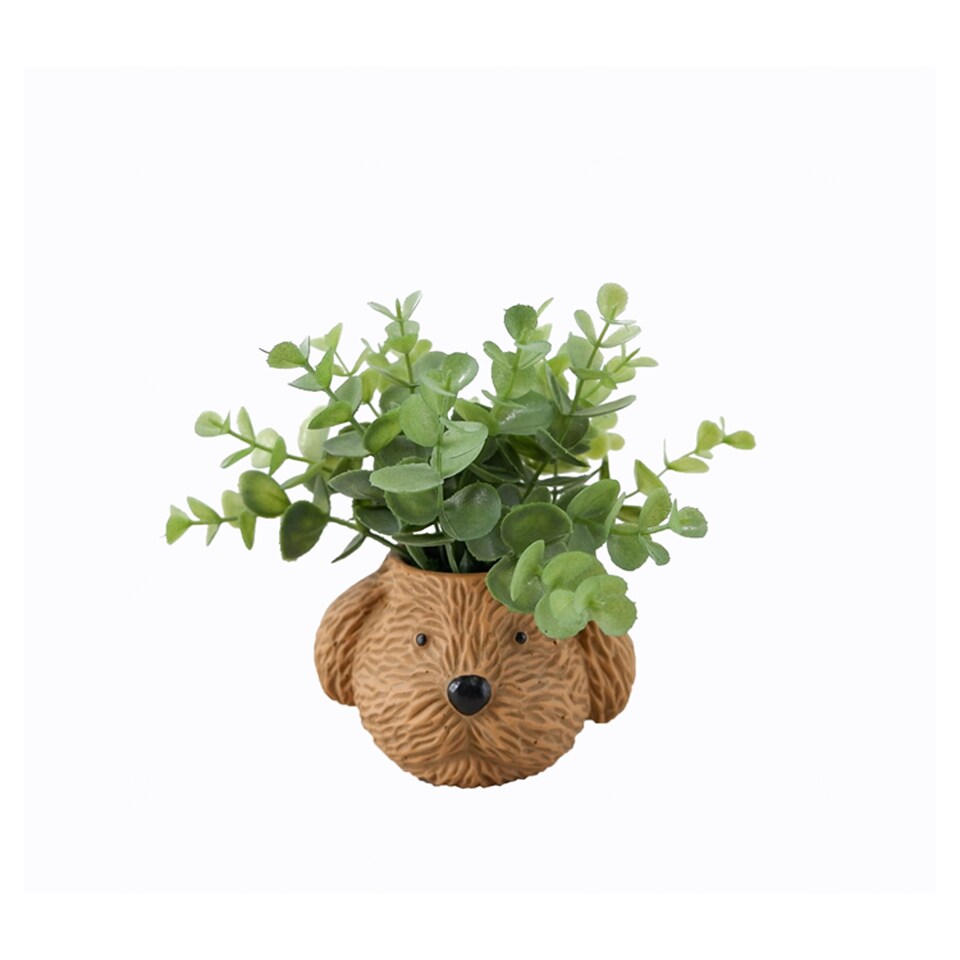 Bayswood Artificial Cavapoo Succulent