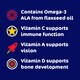 image 3 of Haliborange Disney Toy Story Multivitamins With Omega 3Y+ x60