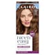 image 1 of CLAIROL NICE'N EASY TONE+GLOSS SEMI PERMANENT HAIR DYE - 600/755 LIGHT BROWN