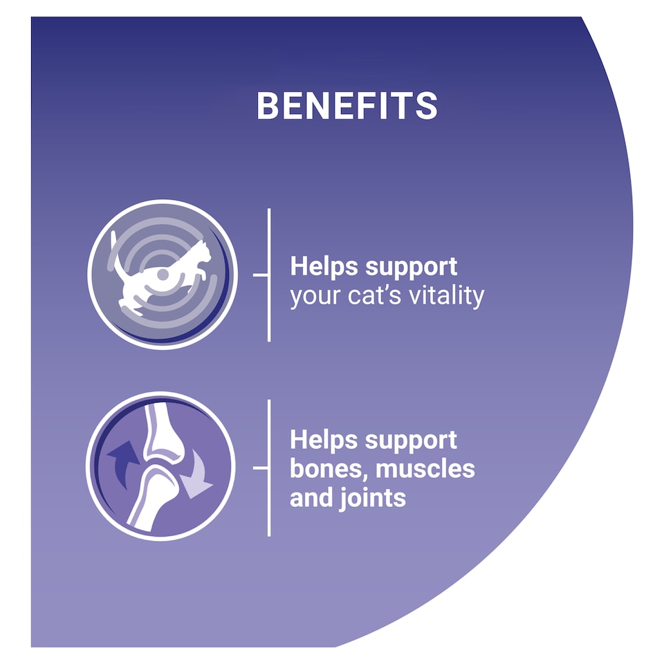 image 1 of PURINA ONE Mini Fillets Mixed Selection in Gravy Wet Cat Food 40x85g