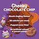 image 3 of Snack a Jacks Chocolate Chip Jumbo Rice Cakes 180g