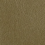 Olive - Selected