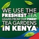 image 5 of PG Tips Original Black Tea 210 Tea Bags 609g