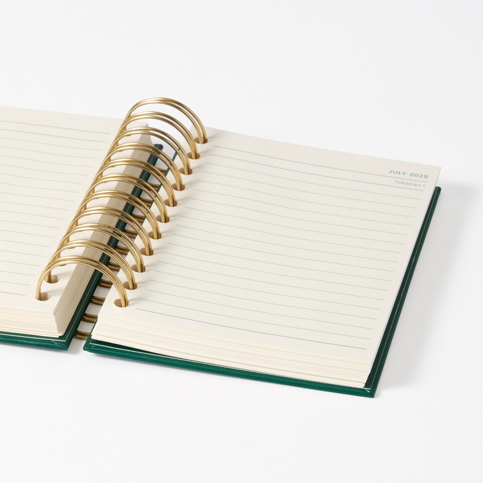 image 1 of Paperchase Icons A6 2025 DTV Diary - Cactus