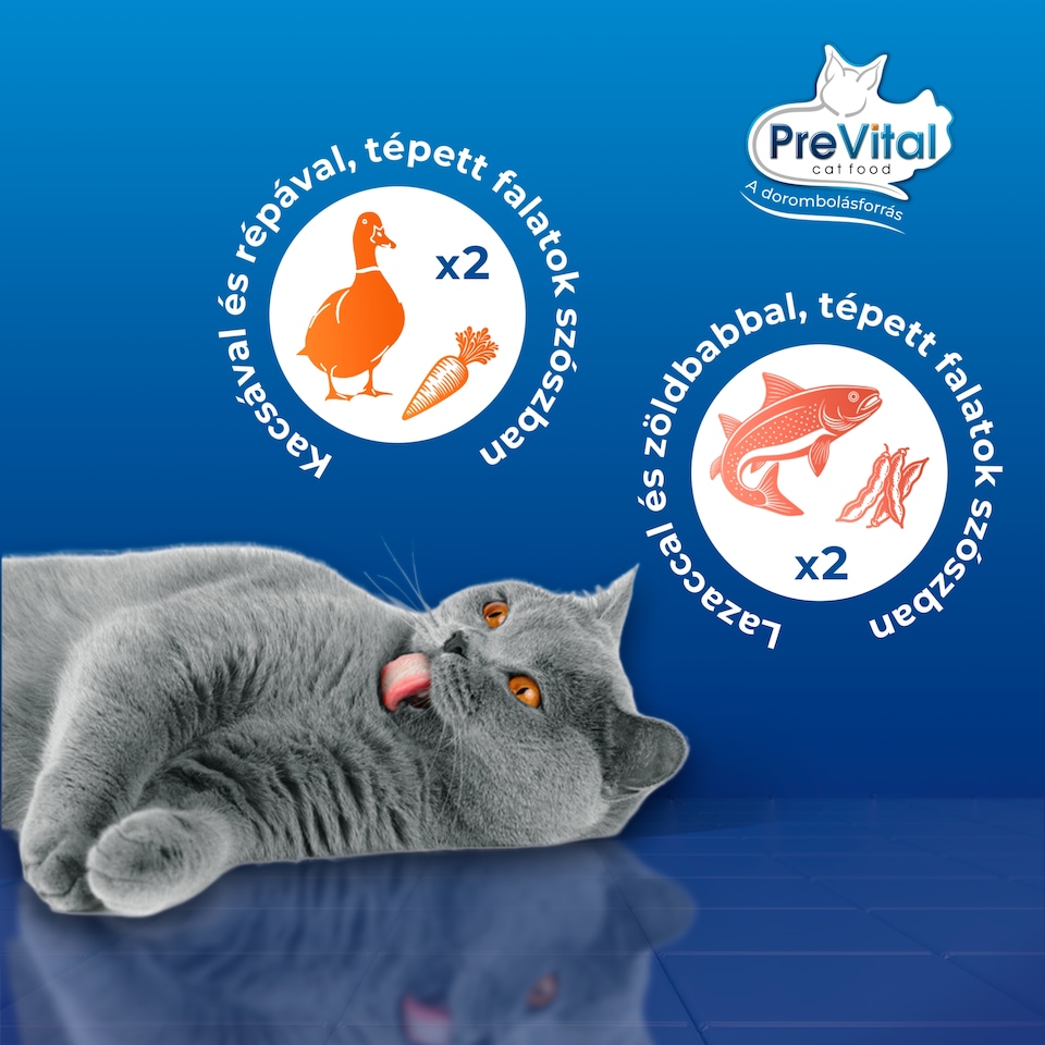 PreVital Fillet Duo nedves macskaeledel, macskatáp felnőtt macskáknak alutasakos 4 x 85 g  1. kép