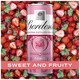 image 5 of Gordon's Premium Pink Gin & Tonic Can 5% Vol 4x250ml