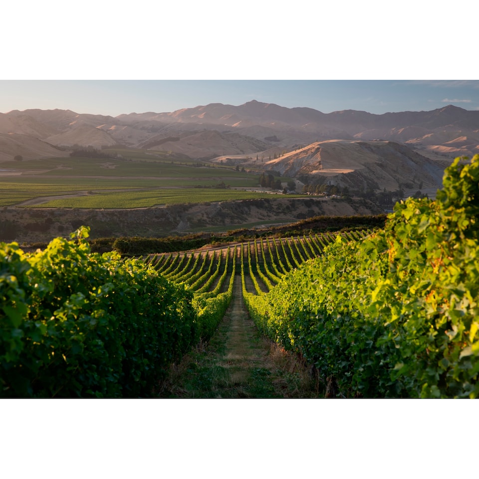 image 1 of Villa Maria Private Bin Chardonnay 75Cl