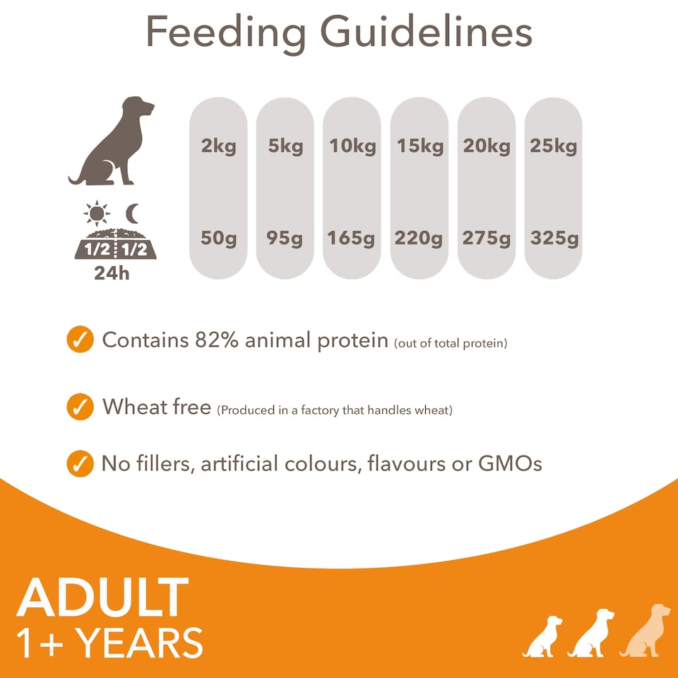 image 1 of Iams Small Medium Adult Dog Food With Chicken 2Kg