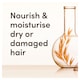 image 4 of Aveeno Hydrating Oat Milk Scalp Soothing Shampoo for Dry Hair 300ml