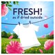 image 3 of Lenor Outdoorable Floral Fresh Fabric Conditioner 1.204L