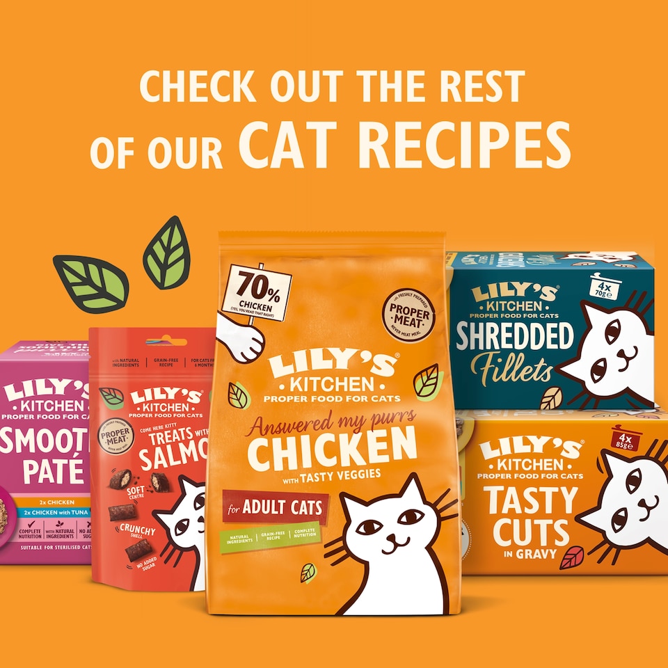 image 1 of LILY'S KITCHEN SHREDDED FILLETS IN JELLY CAT FOOD M/PACK 4x70g