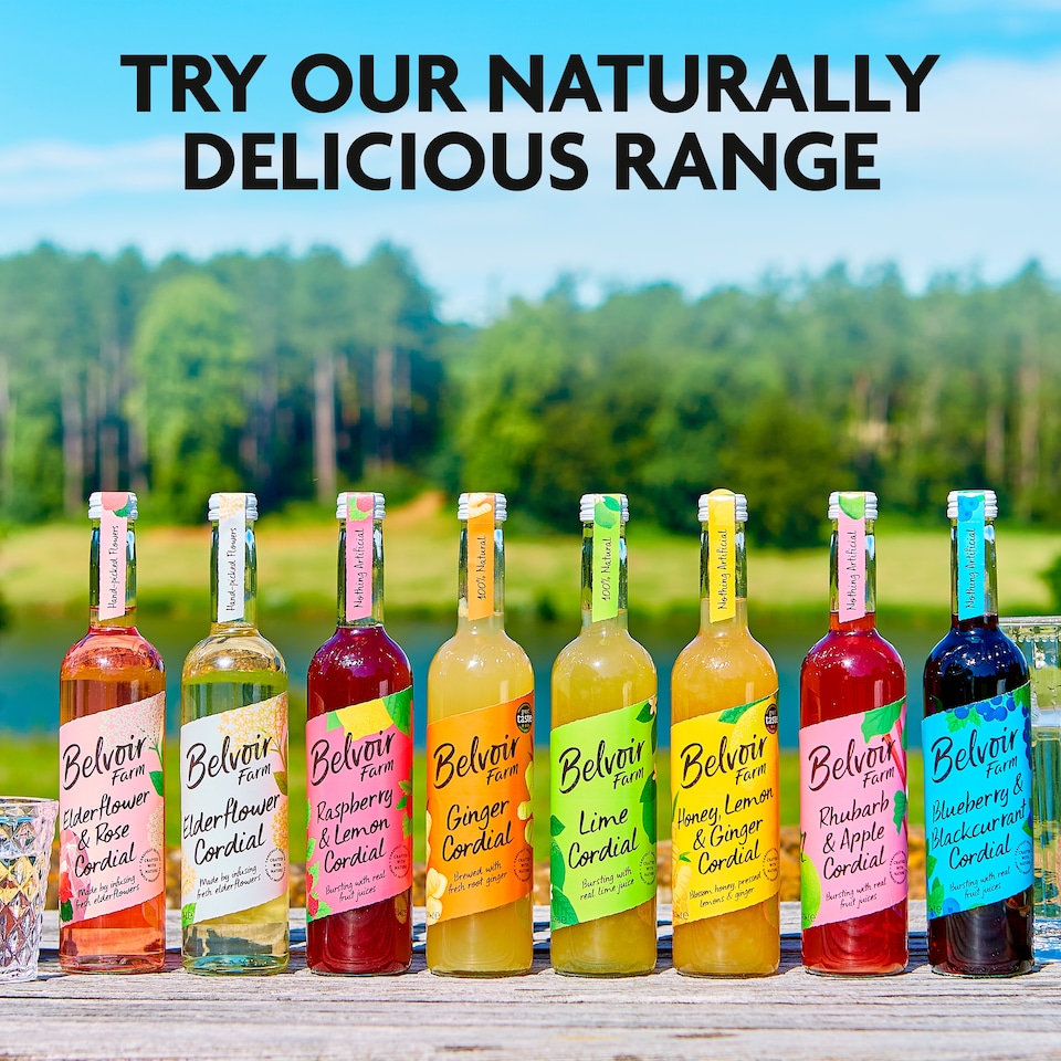 image 1 of Belvoir Elderflower Cordial 500Ml