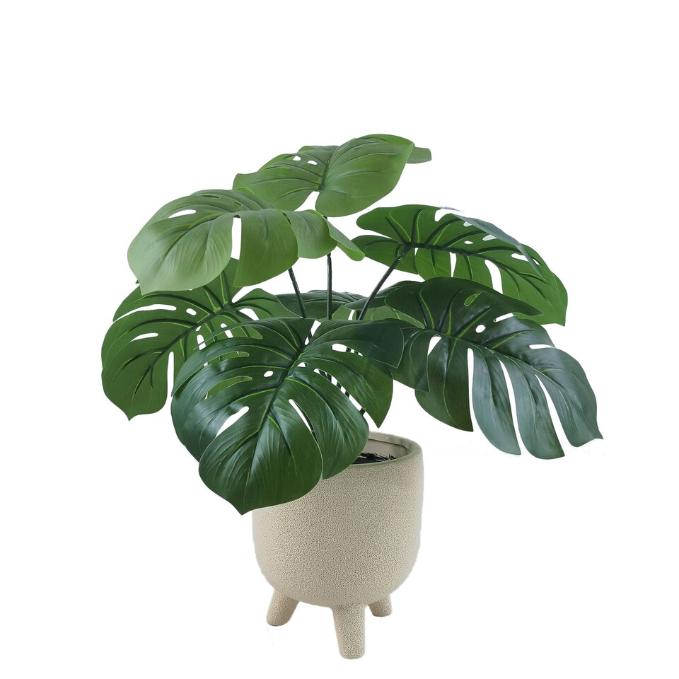 Bayswood Artificial Monstera In Footed Pot