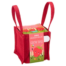 Tesco Strawberry Grow Bag