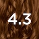 image 2 of Garnier Nutrisse Creme Permanent Hair Colour - Dark Golden Brown 4.3