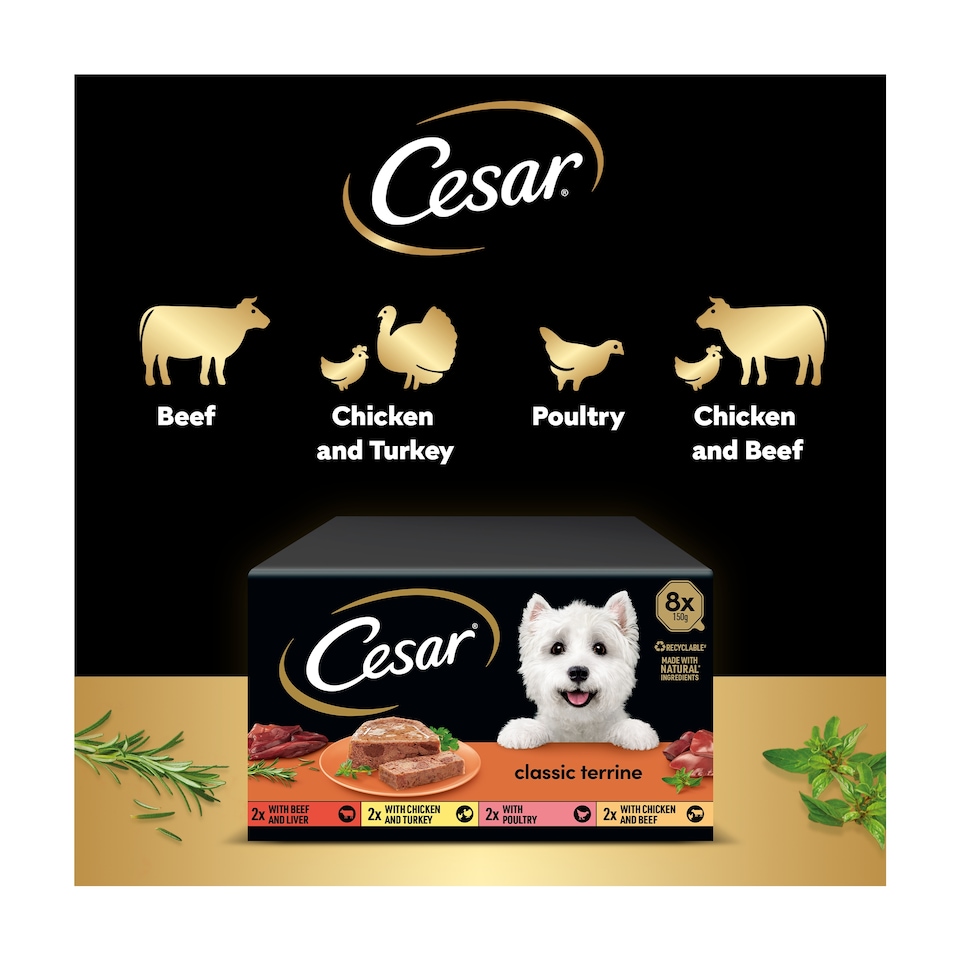 image 1 of Cesar Classics Terrine Dog Food Trays Mixed in Loaf 8 x 150g