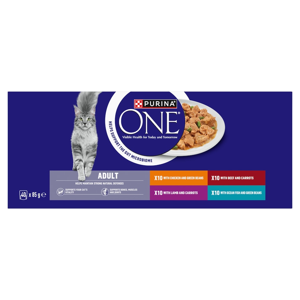 image 1 of PURINA ONE Mini Fillets Mixed Selection in Gravy Wet Cat Food 40x85g