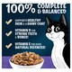 image 4 of FELIX Doubly Delicious Senior Salmon & Vegetables Dry Cat Food 750g