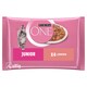 Obrázek 1 pro produkt Purina ONE Junior kapsičky pro koťata losos ve šťávě 4 x 85g