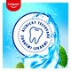 obrázok 5 z Colgate Plax Cool Mint ústna voda bez alkoholu 500 ml