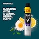 image 3 of Sure Men Active Dry Antiperspirant 300ml
