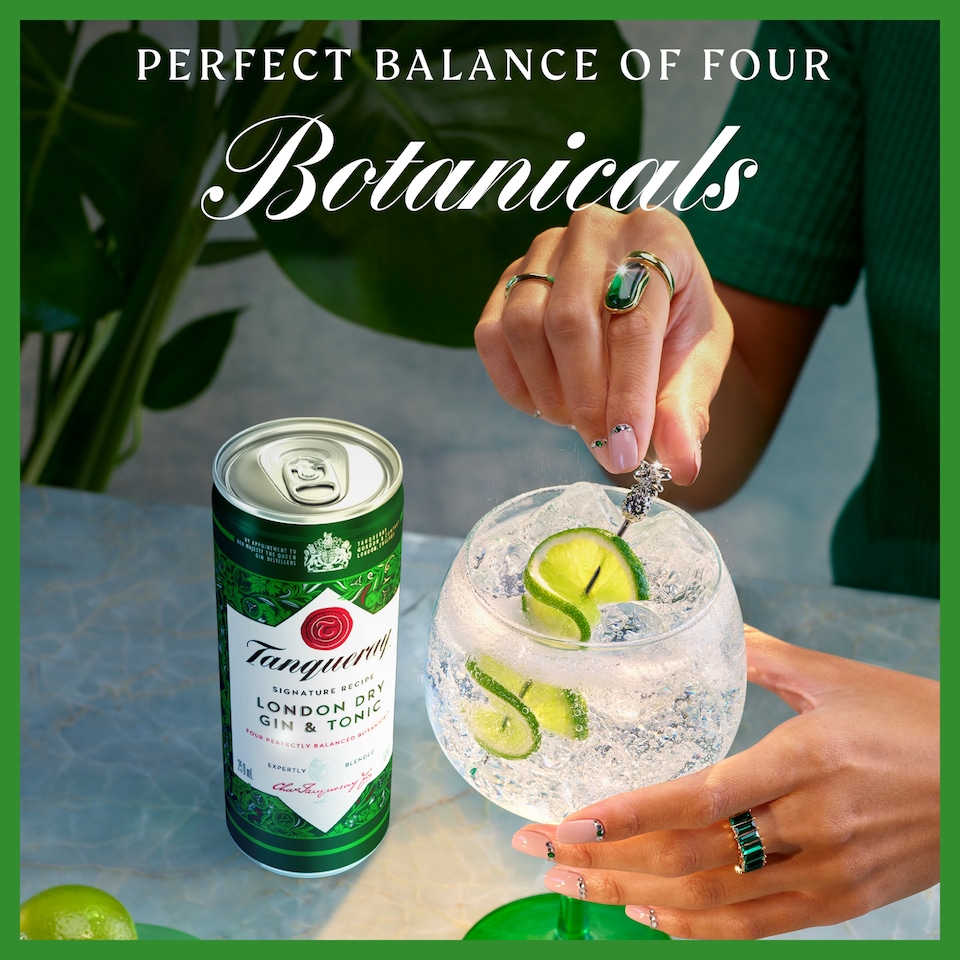image 1 of Tanqueray London Dry Gin & Tonic Ready to Drink Premix 250ml