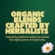 image 5 of Pukka Organic Three Chamomile Herbal Tea 20 Tea Bags 30g