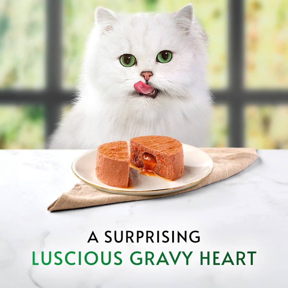 image 1 of GOURMET Nature's Creations Gravy Heart Chicken Ocean Fish Wet Cat Food 8x85g