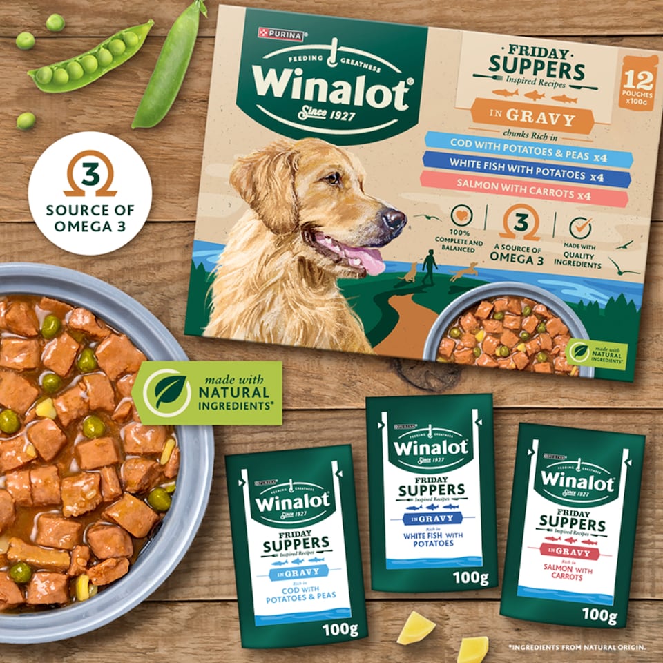 image 1 of WINALOT Friday Suppers Wet Dog Food in Gravy 12x100g