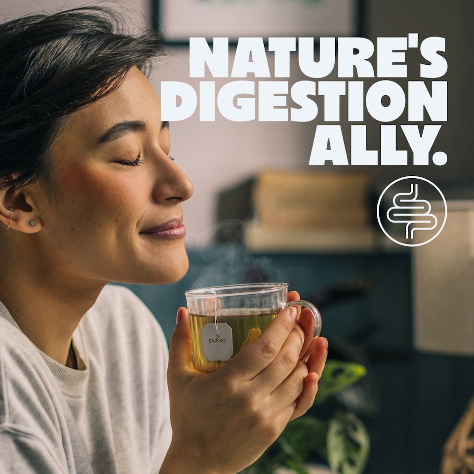 image 1 of Pukka Organic After Dinner Tea With Fennel for Digestion 20 Herbal Tea Bags 40g