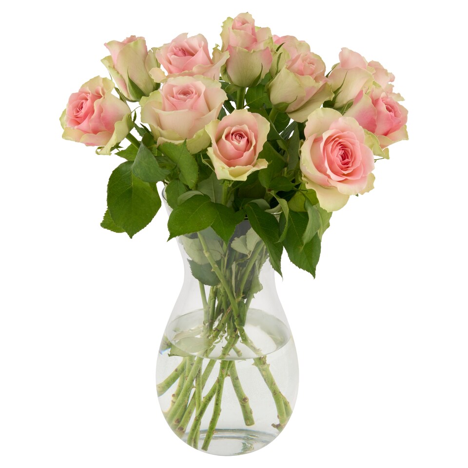 Fairtrade Rose Bouquet