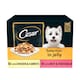 image 1 of Cesar Deliciously Fresh Wet Dog Food Pouches in Jelly 12x100g