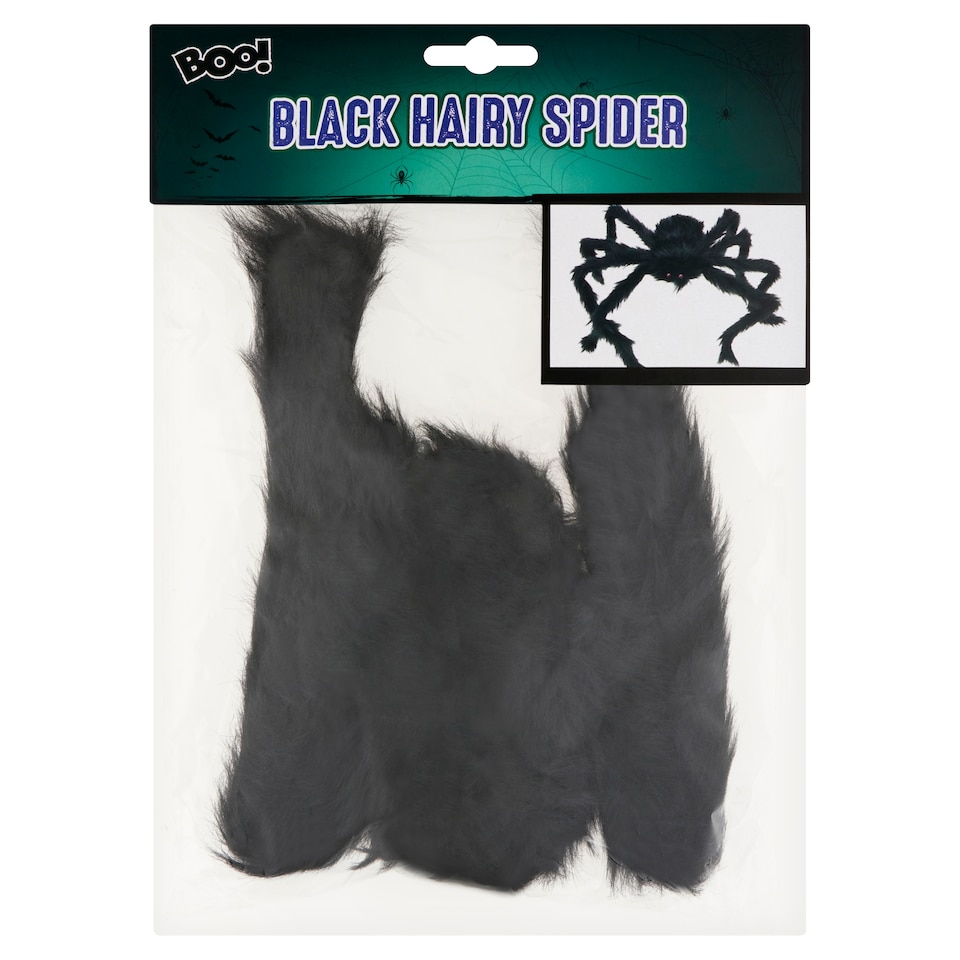 Boo! Black Hairy Spider
