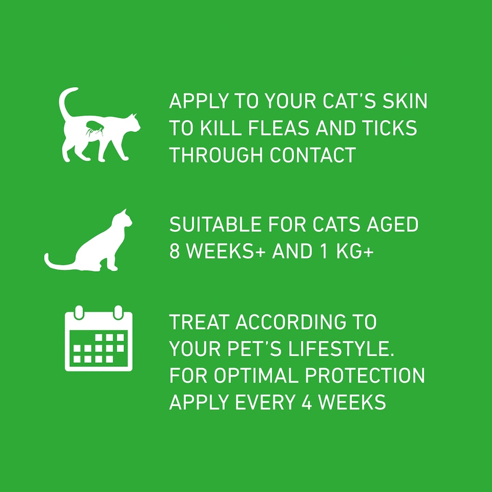 image 1 of Frontline Plus Small Cat Flea & Tick Treatment 3s (P)