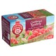 Obrázek 2 pro produkt Teekanne World of Fruits Cranberry & Raspberry ovocno-bylinný čaj 20 x 2,25g (45g)