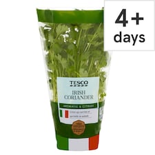 Tesco Growing Herb Coriander