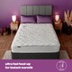 image 3 of SILENTNIGHT TEDDY ELECTRIC BLANKET KS