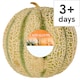 image 1 of Tesco Cantaloupe Melon Each