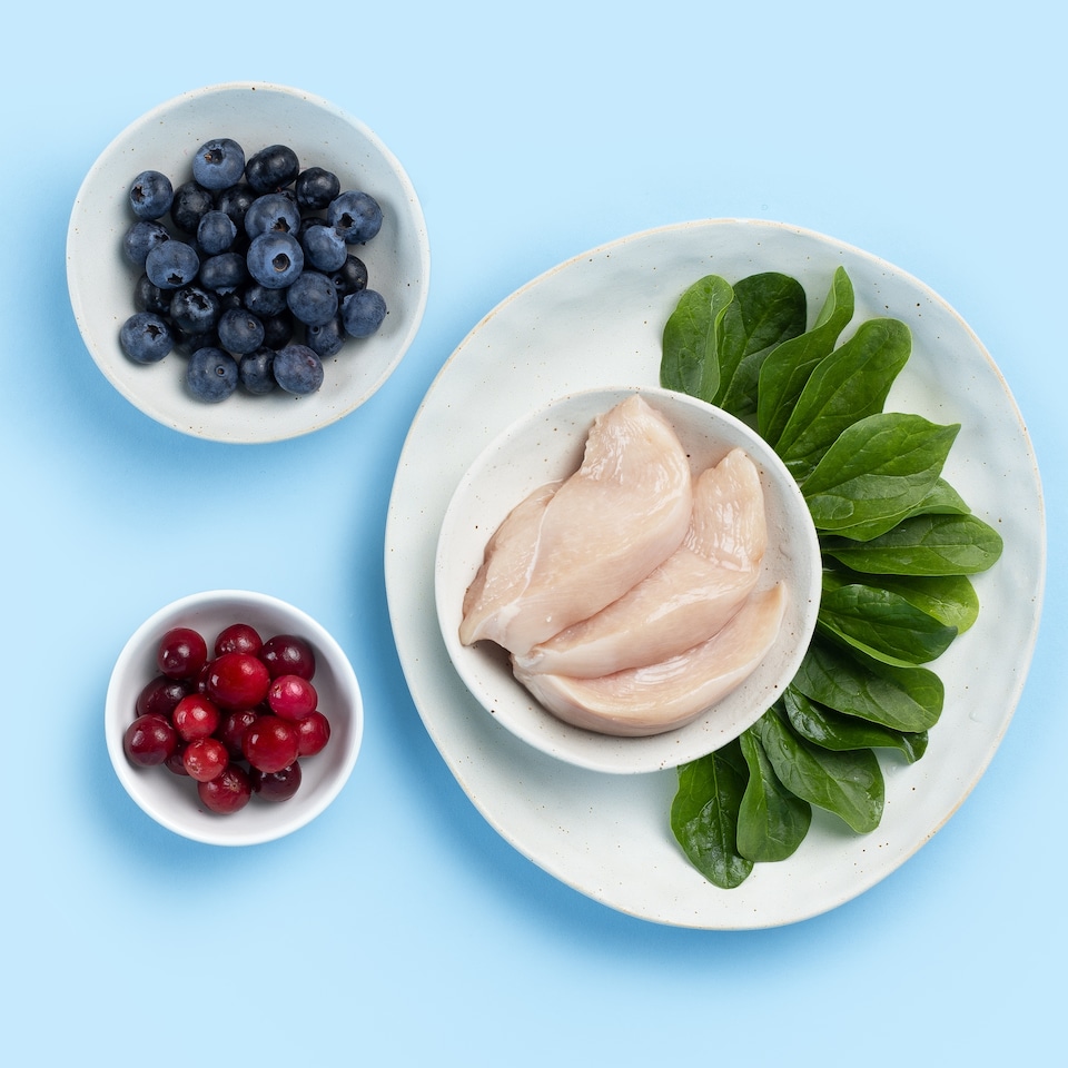 image 1 of Nood Cat Dinners Chicken & Superfoods In Gravy 8X85g