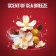 image 4 of Old Spice Deep Sea Deodorant Body Spray 150Ml