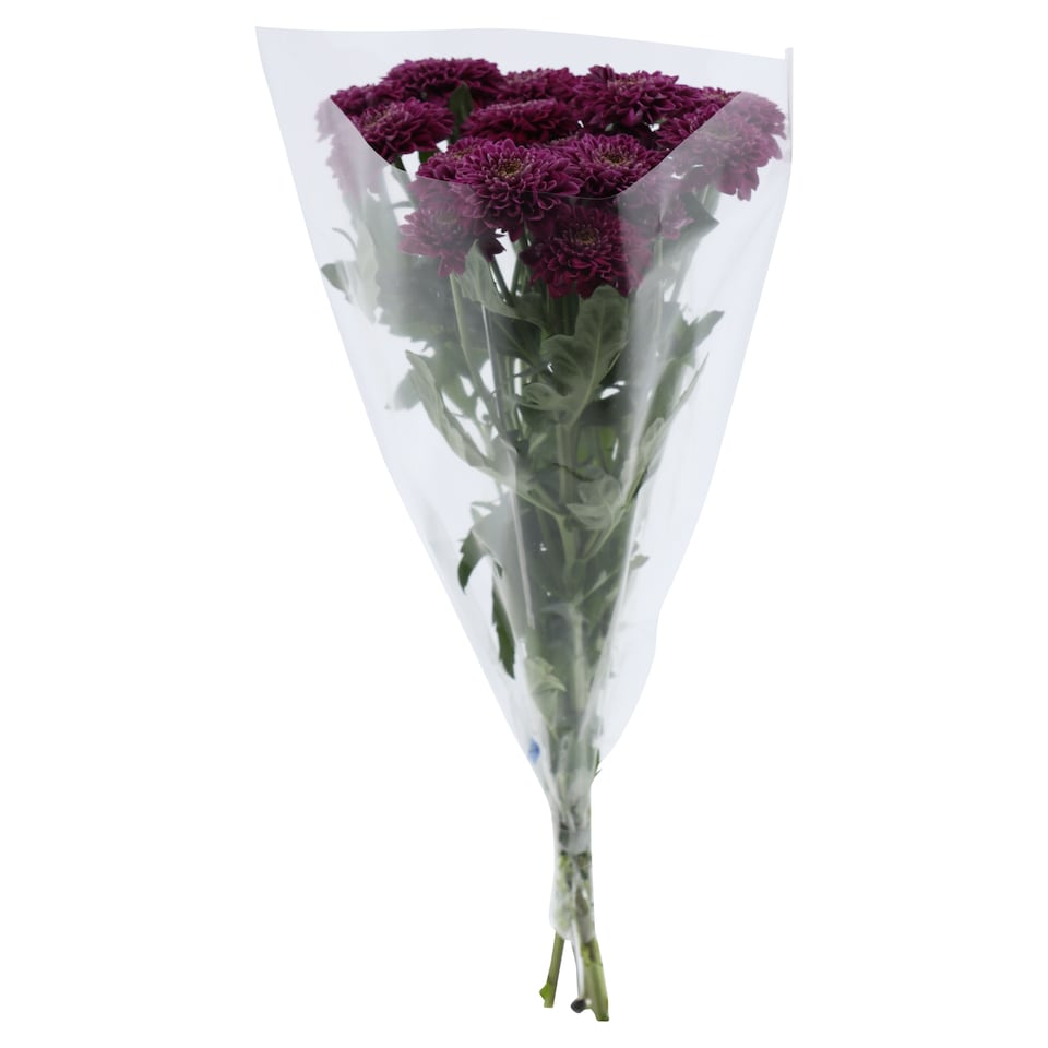 image 1 of The Floral Connection Chrysanthemums Bouquet