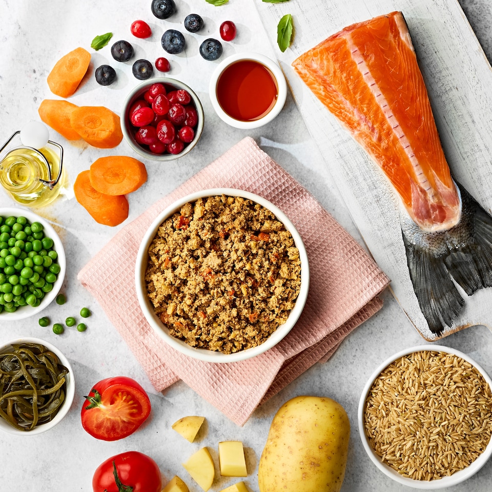 image 1 of Naturo Mini Salmon with Rice & Vegetables Dog Food 150g