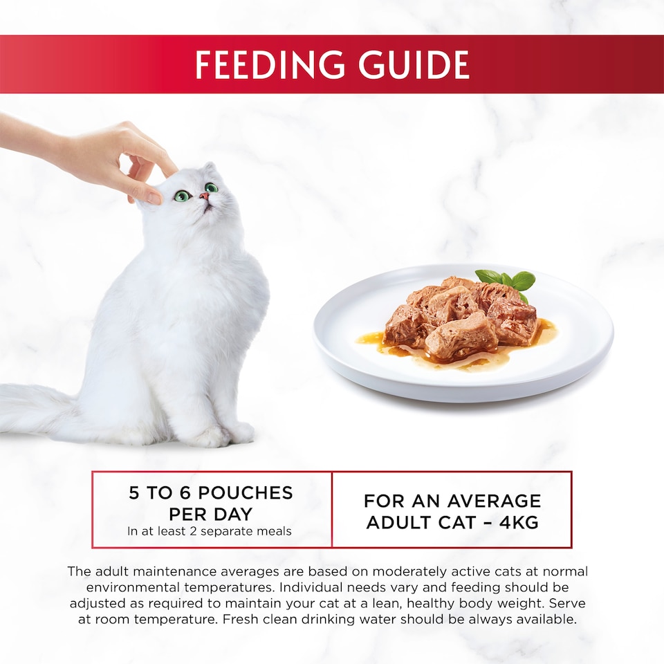 image 1 of GOURMET Mon Petit Meaty Variety Duck; Chicken; Turkey Wet Cat Food 6x50g